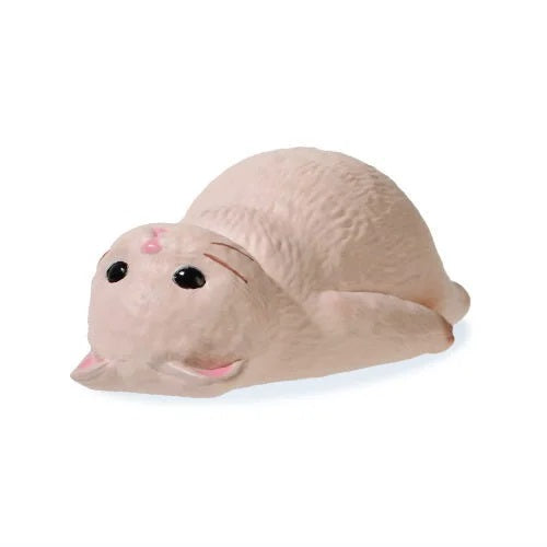 KYOMU Cat 2
