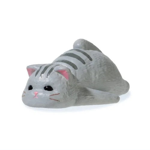 KYOMU Cat 2