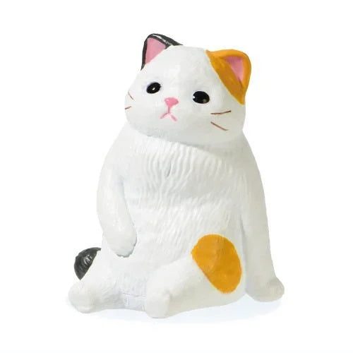 KYOMU Cat 2
