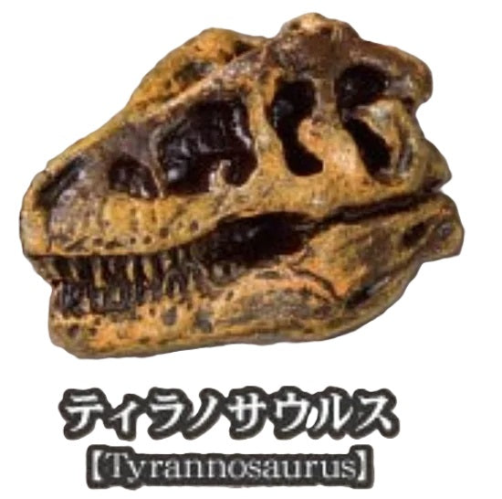 Dinosaur Fossil Museum