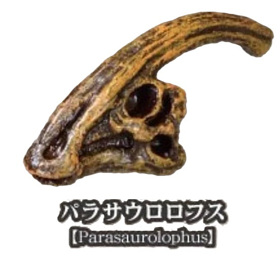 Dinosaur Fossil Museum