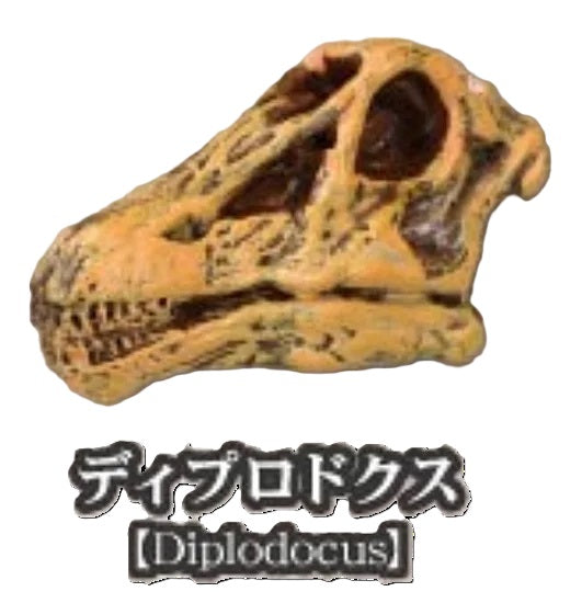 Dinosaur Fossil Museum