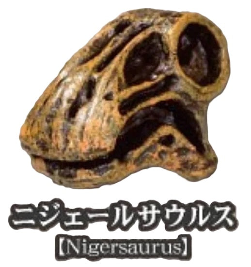 Dinosaur Fossil Museum