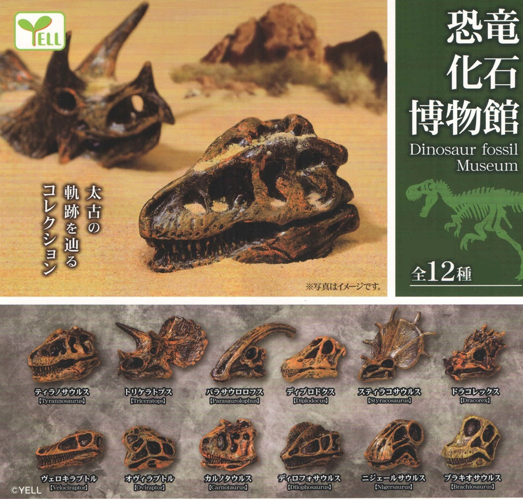 Dinosaur Fossil Museum