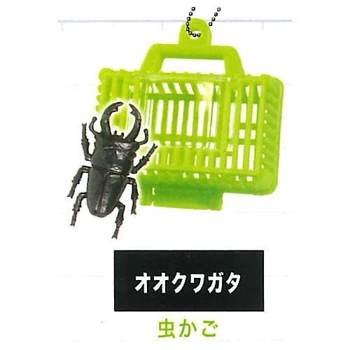 Beetle Collection Mascot Part.7
