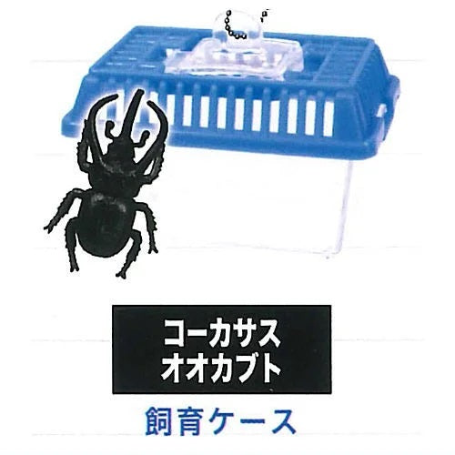 Beetle Collection Mascot Part.7