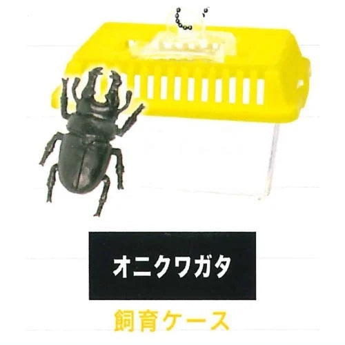 Beetle Collection Mascot Part.7