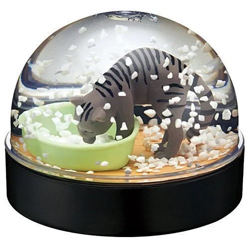 Cat In Snow Globe 2