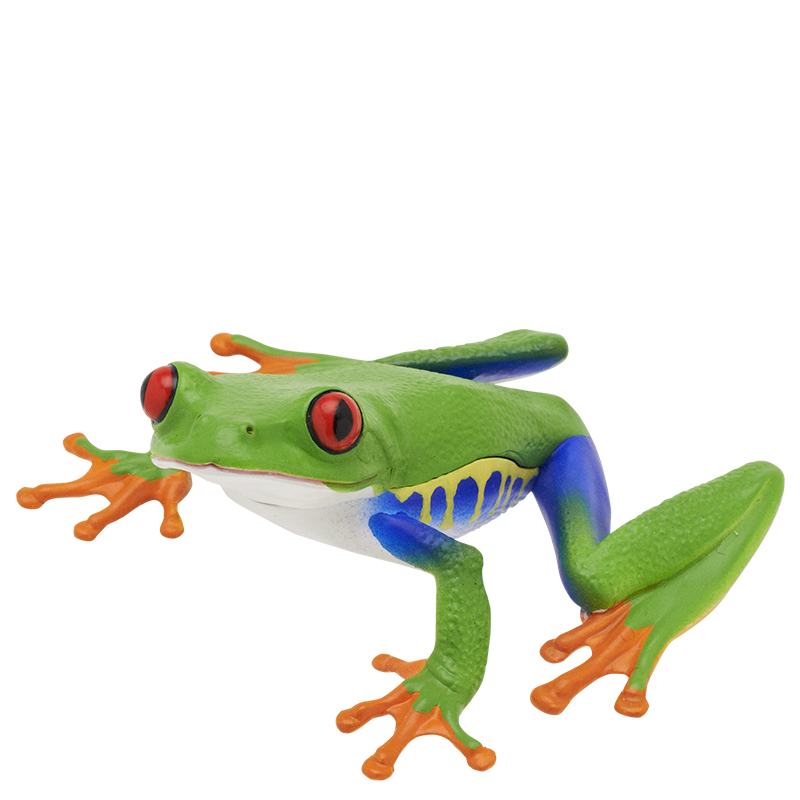 Rain Forest Frogs & Axolotl