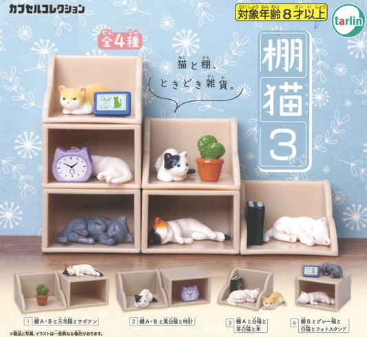 Shelf cat 3
