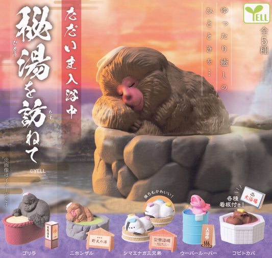 Hot Spring Bathing Animals