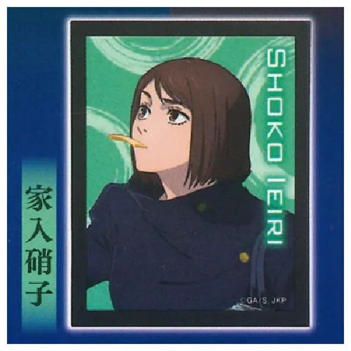 Jujutsu Kaisen Memorial Poster Light Collection