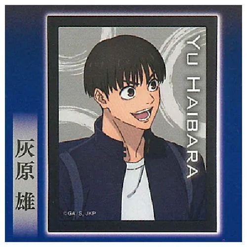 Jujutsu Kaisen Memorial Poster Light Collection