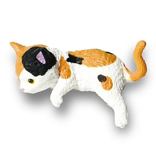 Adorable Sunbathing Kitty – view 3