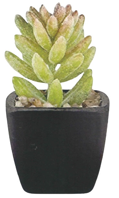 Artificial Succulent Plants – view 3