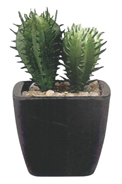 Artificial Succulent Plants – view 4