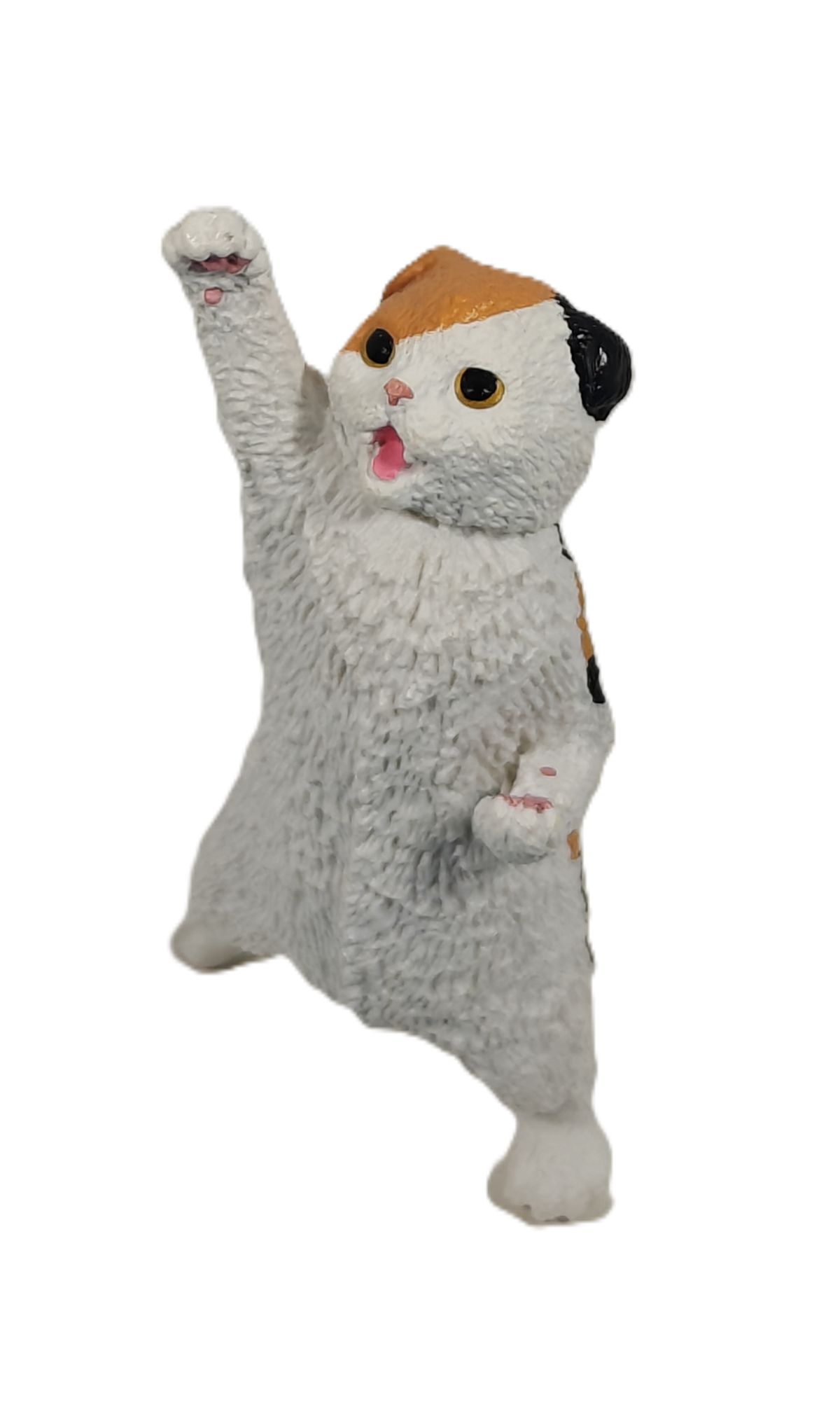 Cheer You Up Cat 2 – view 3