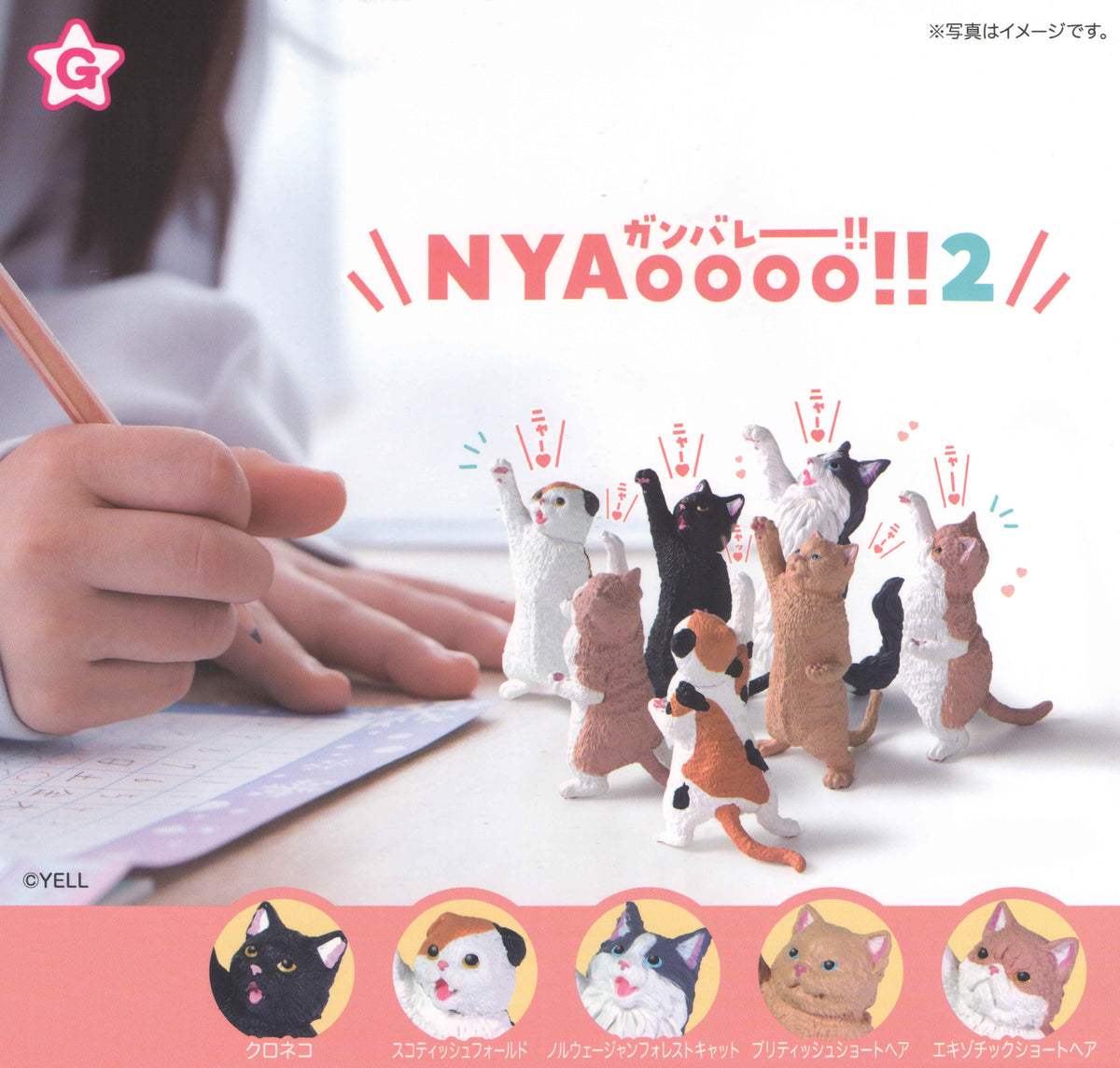 Cheer You Up Cat 2 – view 7