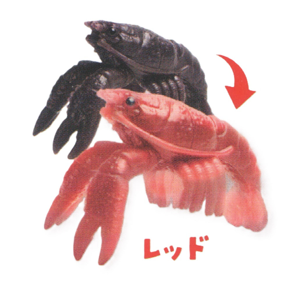Color Shift Crawfish – view 2