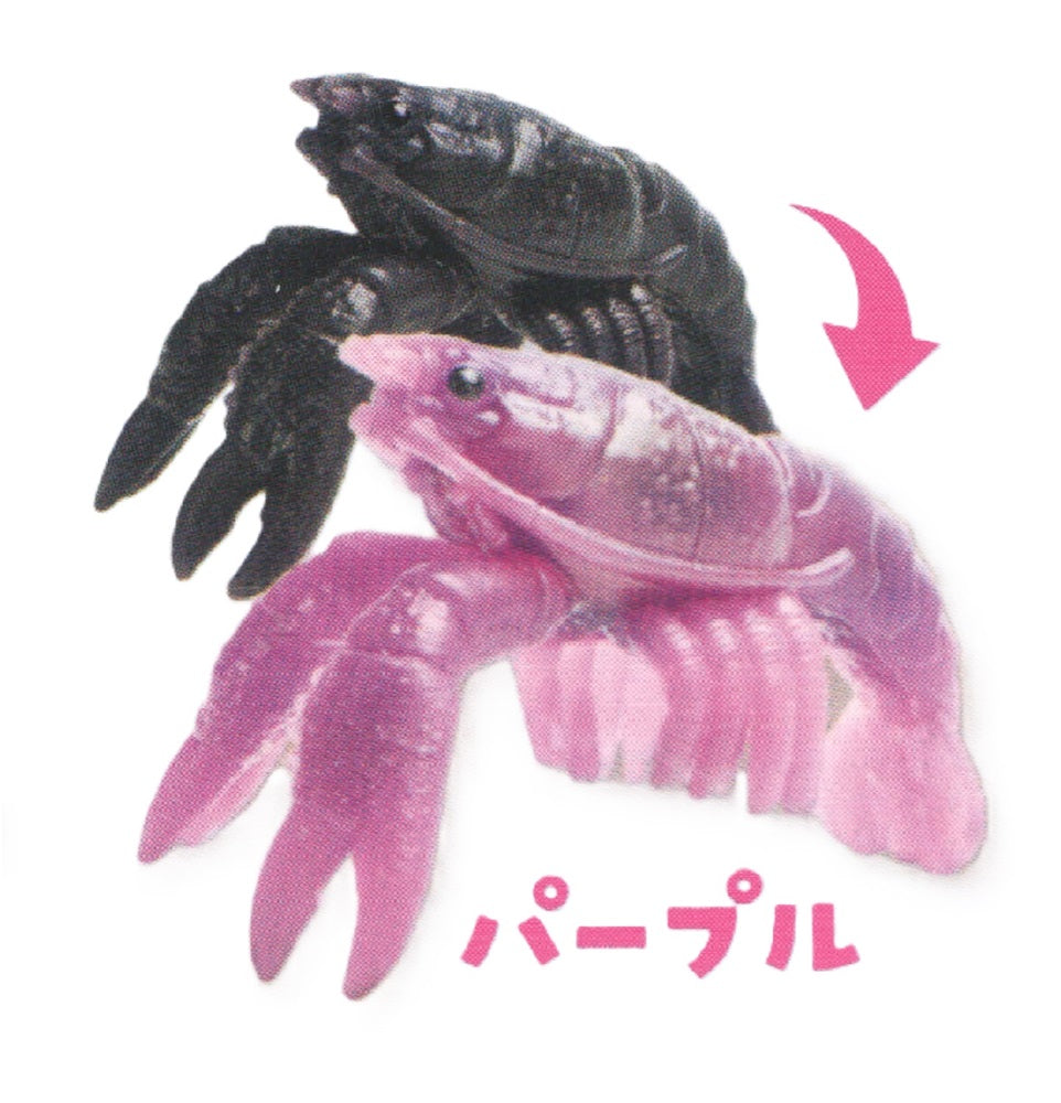 Color Shift Crawfish – view 3