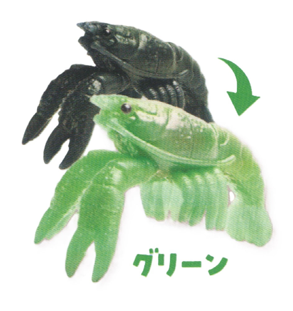 Color Shift Crawfish – view 4