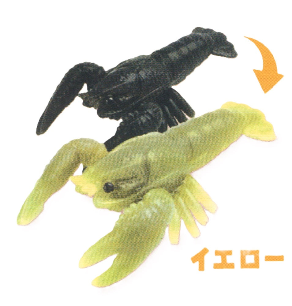 Color Shift Crawfish – view 5