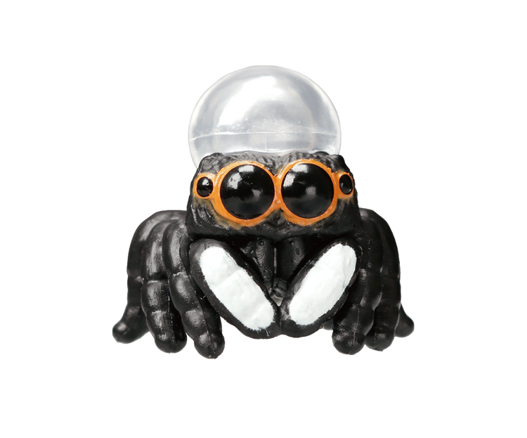 Cute Spider – view 2