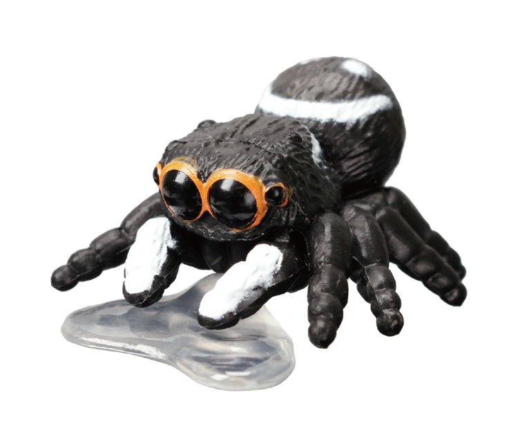 Cute Spider – view 3