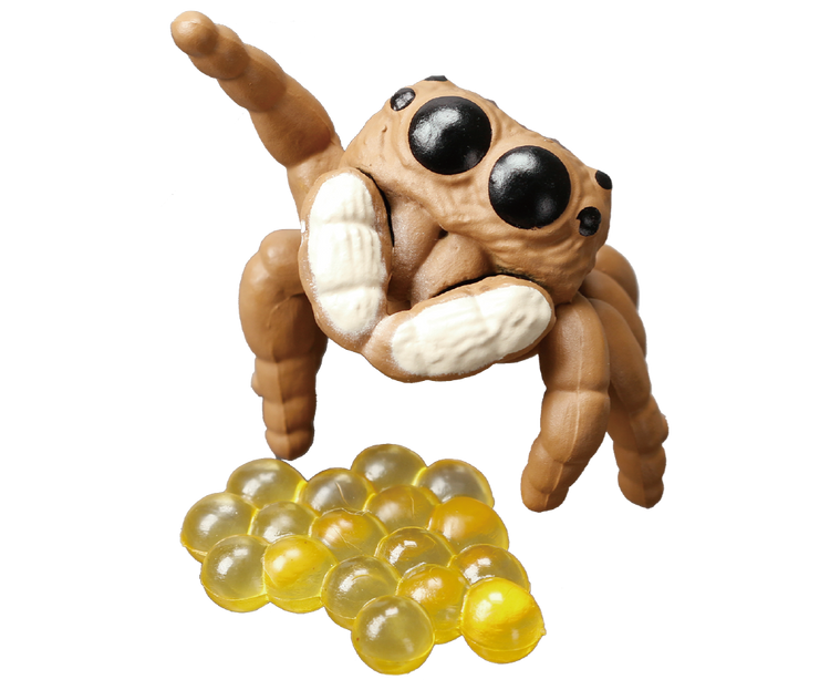 Cute Spider – view 4