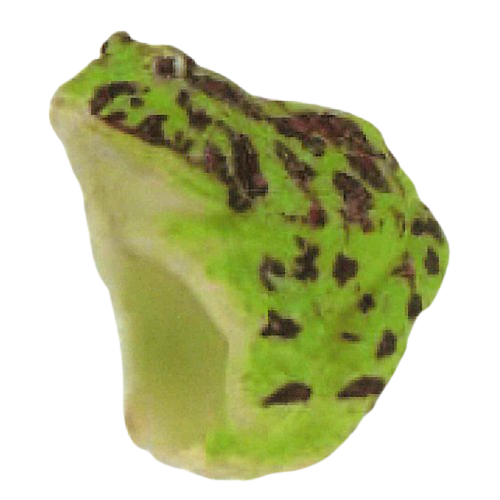 Dakitsuki Frog Ring – view 3