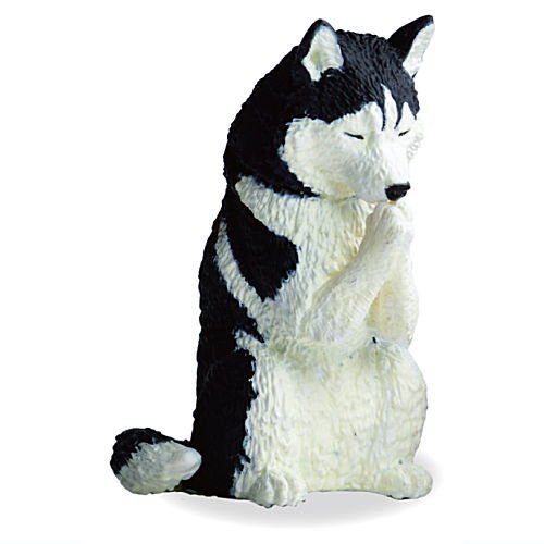 Devout Doggy Prayer – view 2