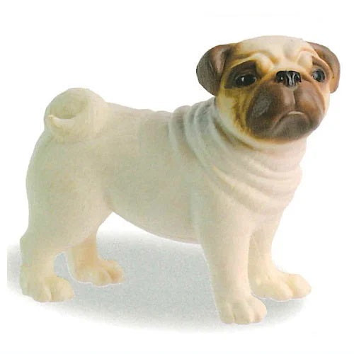 Dogs of the World Selection – view 2