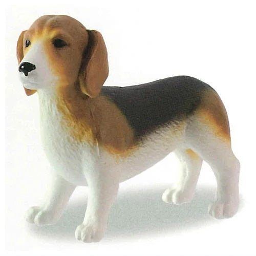 Dogs of the World Selection – view 3