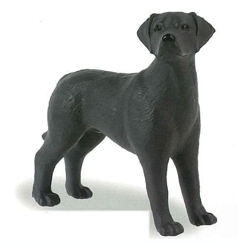 Dogs of the World Selection – view 4