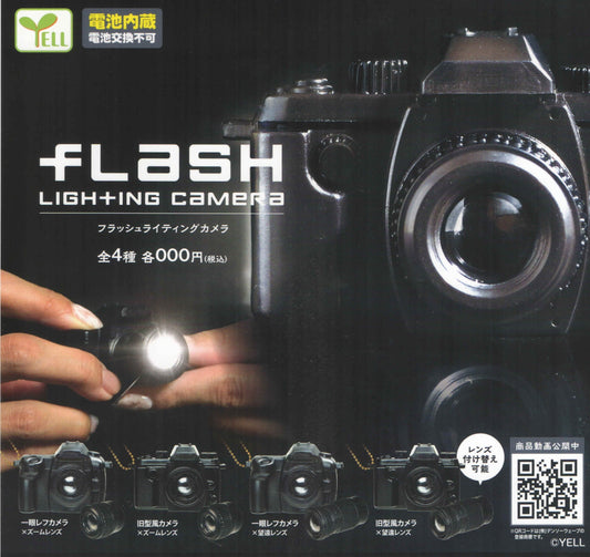 Flash lighting camera