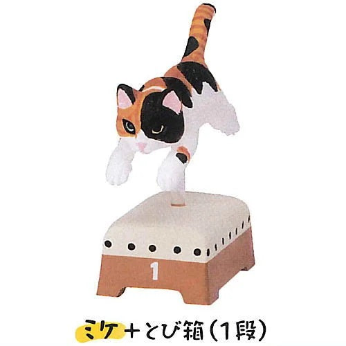 Gymnastic Cats – view 4