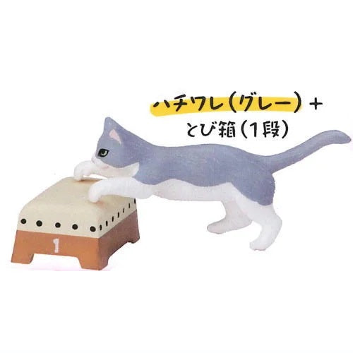 Gymnastic Cats – view 6