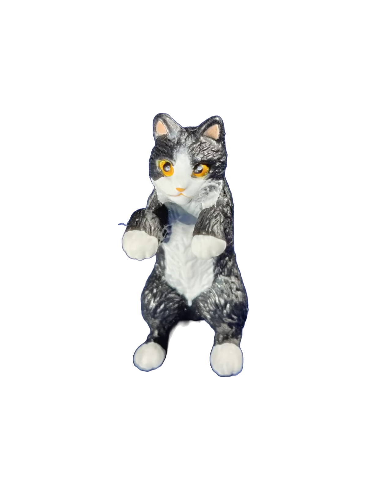 Hang On Cats – view 5
