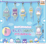 Happy Birthday Sanrio Charms