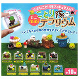 Kotori-tai Mini Terrarium