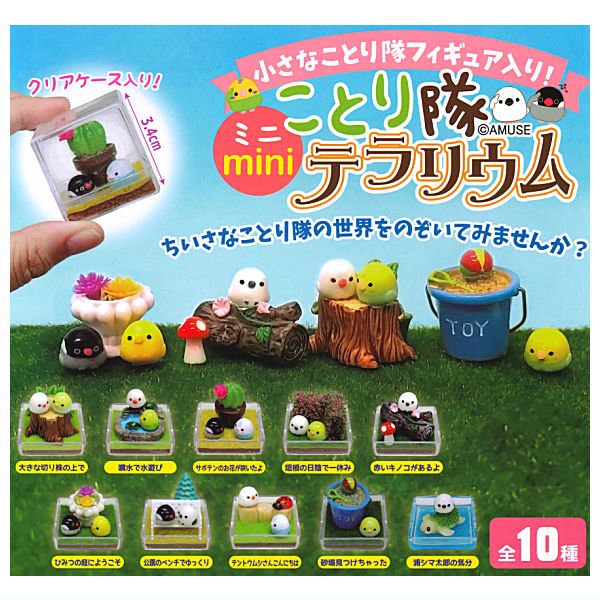 Kotori-tai Mini Terrarium