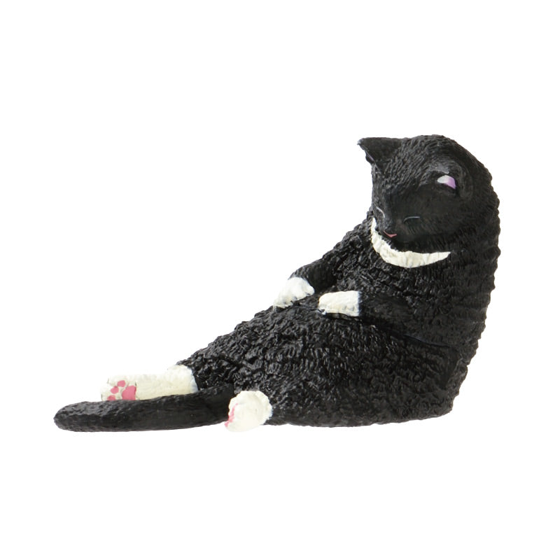 Lazy Cats 2 – view 4