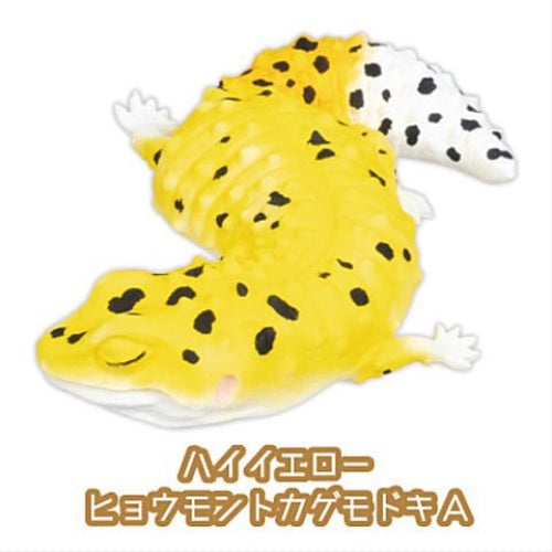Leopard Gecko Good Night Series Part.2 – view 2