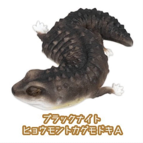 Leopard Gecko Good Night Series Part.2 – view 4
