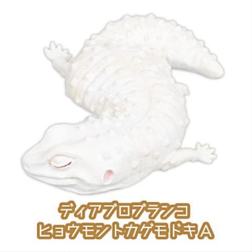 Leopard Gecko Good Night Series Part.2 – view 5