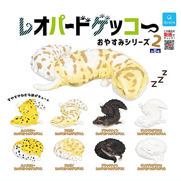Leopard Gecko Good Night Series Part.2