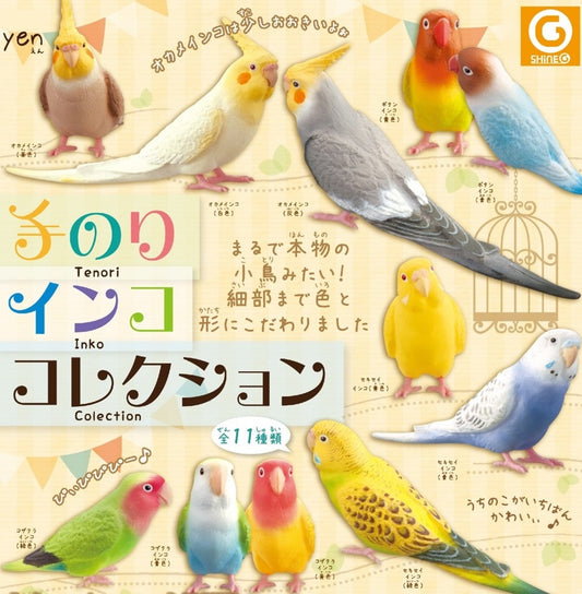 Parakeet Collection