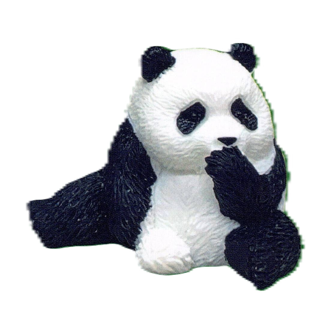 Shipposi Panda – view 5