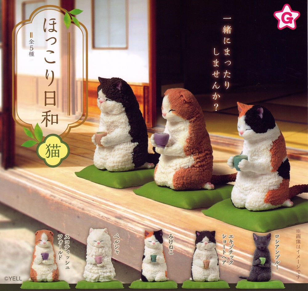 Tea Time Cat