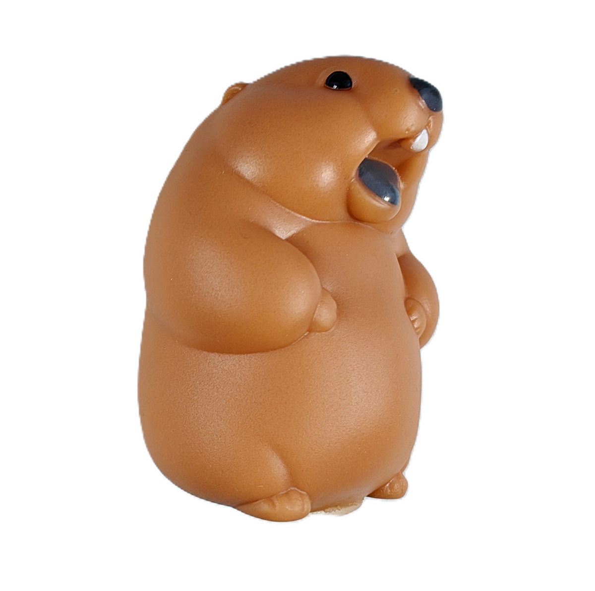 The Insatiable Marmot – view 3
